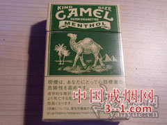 骆驼(薄荷日版) | 单盒价格上市后公布 目前待上市