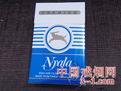 Nyala PREMIUM | 单盒价格上市后公布 目前