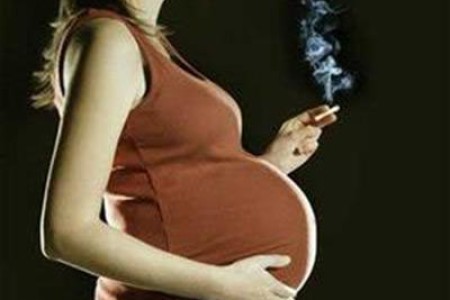 吸烟女性的胚胎发育慢 想生育先戒烟