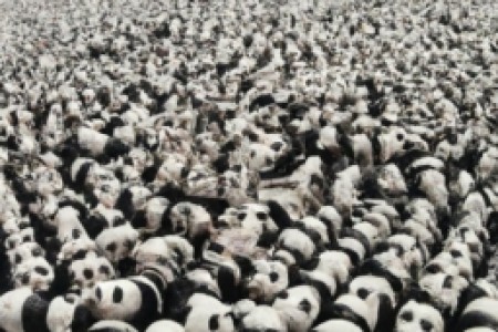 100的大熊猫牌香烟(100大熊猫牌香烟：香烟百科)