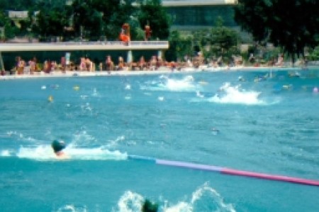 1983游泳烟(1983游泳烟：独特口感和经典品牌)
