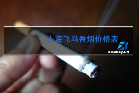 上海飞马香烟价格表