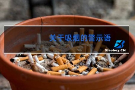 关于吸烟的警示语 - 禁止吸烟句子80字