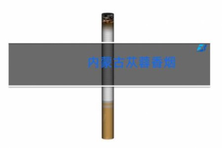内蒙古苁蓉香烟