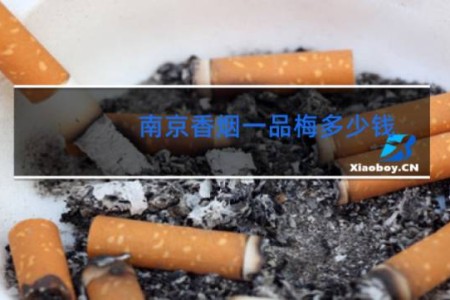 南京香烟一品梅多少钱
