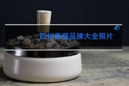 四川香烟品牌大全照片 价格