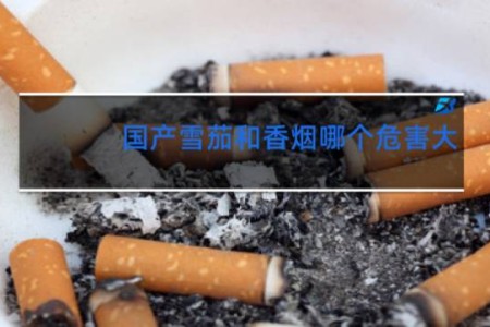 国产雪茄和香烟哪个危害大