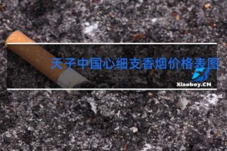 天子中国心细支香烟价格表图