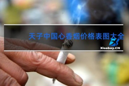 天子中国心香烟价格表图大全