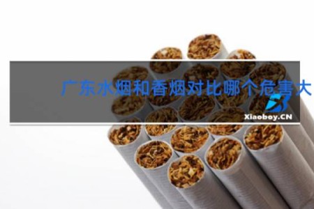 广东水烟和香烟对比哪个危害大