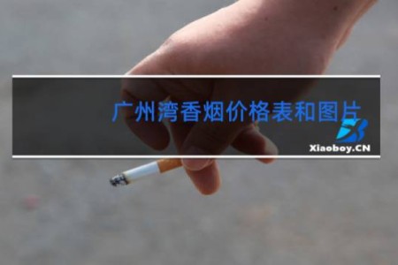 广州湾香烟价格表和图片