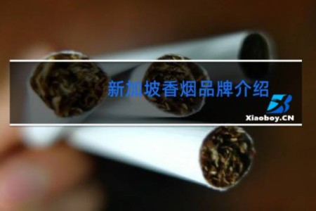 新加坡香烟品牌介绍