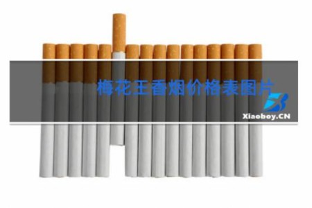 梅花王香烟价格表图片