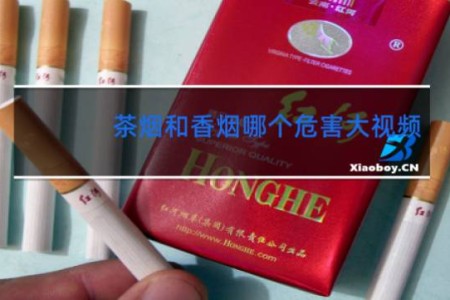 茶烟和香烟哪个危害大视频