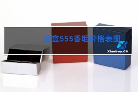 蓝盒555香烟价格表图