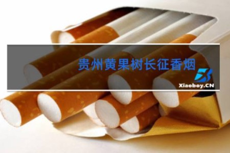 贵州黄果树长征香烟