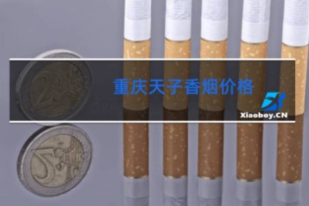 重庆天子香烟价格