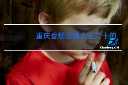 重庆香烟品牌大全二十的