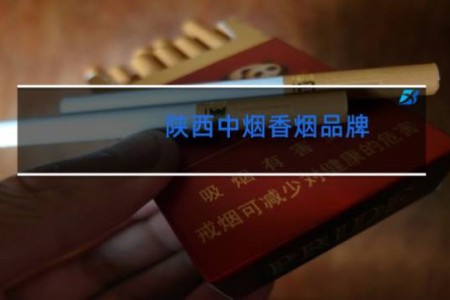 陕西中烟香烟品牌