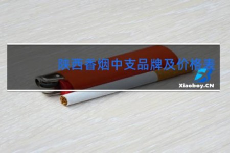 陕西香烟中支品牌及价格表