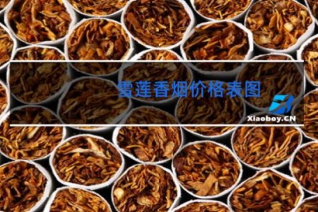 雪莲香烟价格表图 新疆