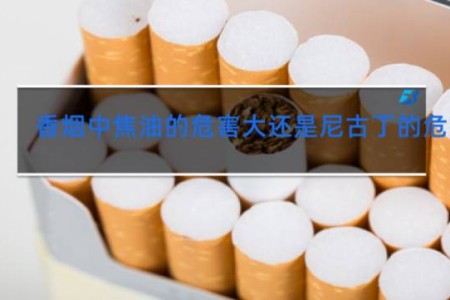 香烟中焦油的危害大还是尼古丁的危害大