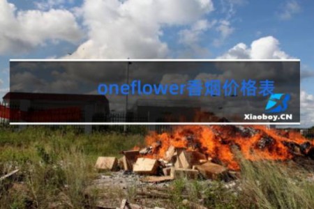 oneflower香烟价格表