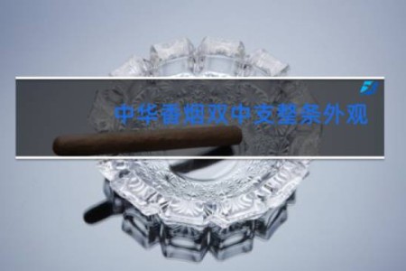中华香烟双中支整条外观