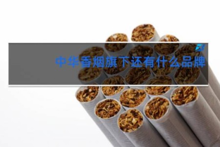 中华香烟旗下还有什么品牌