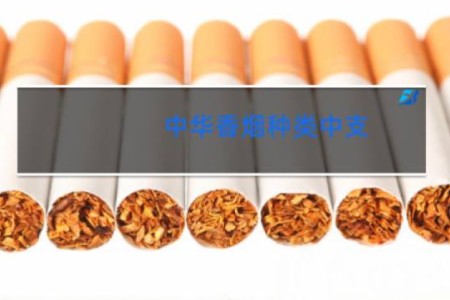 中华香烟种类中支