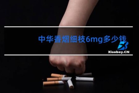 中华香烟细枝6mg多少钱