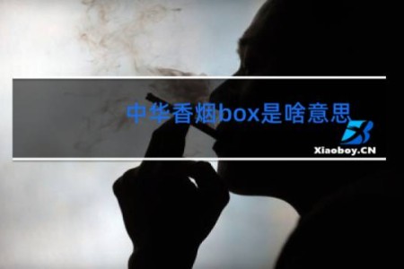 中华香烟box是啥意思
