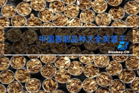 中国香烟品种大全芙蓉王