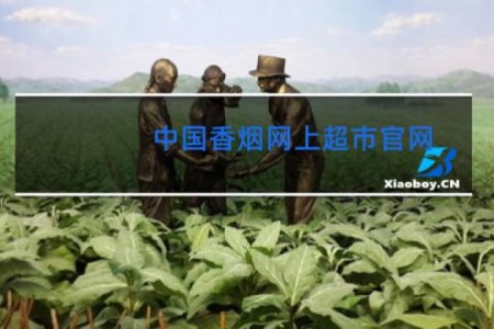 中国香烟网上超市官网