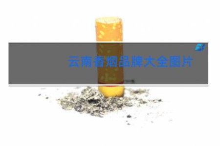 云南香烟品牌大全图片
