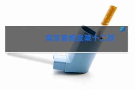 南京香烟金陵十二衩