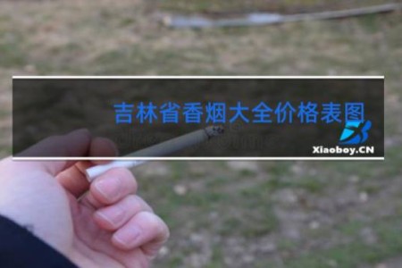 吉林省香烟大全价格表图