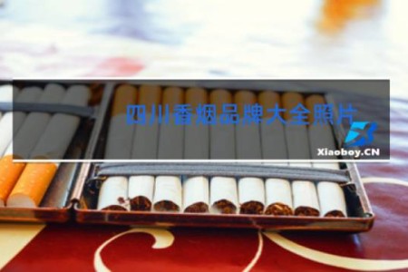 四川香烟品牌大全照片 价格表