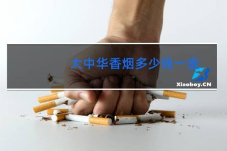 大中华香烟多少钱一盒