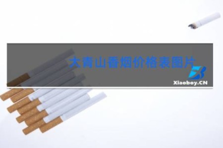 大青山香烟价格表图片