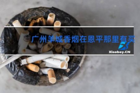 广州羊城香烟在恩平那里有买