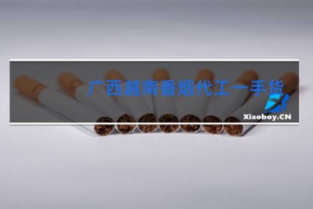 广西越南香烟代工一手货
