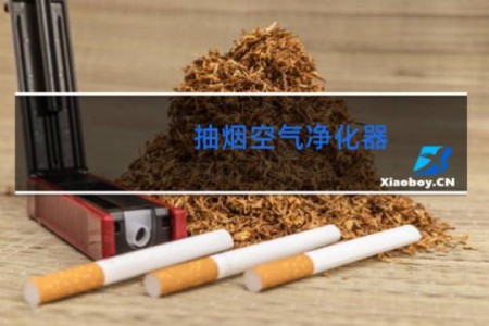 抽烟空气净化器 - 能在屋里抽烟的空气净化器