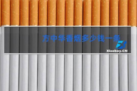 方中华香烟多少钱一条