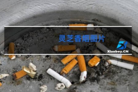 灵芝香烟图片