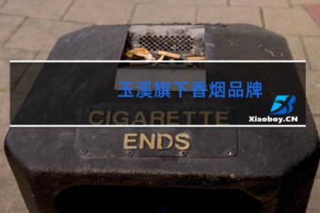 玉溪旗下香烟品牌