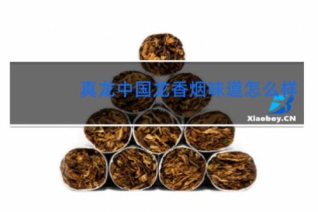 真龙中国龙香烟味道怎么样