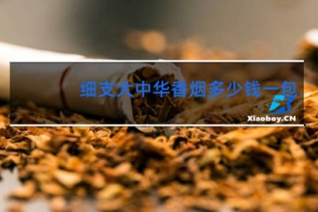 细支大中华香烟多少钱一包