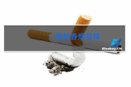 缅甸香烟品牌