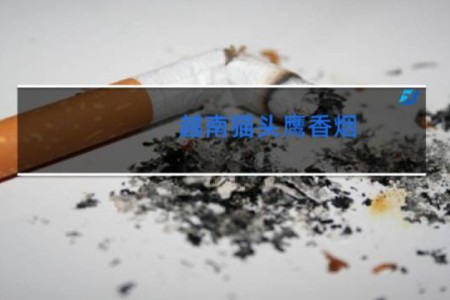 越南猫头鹰香烟